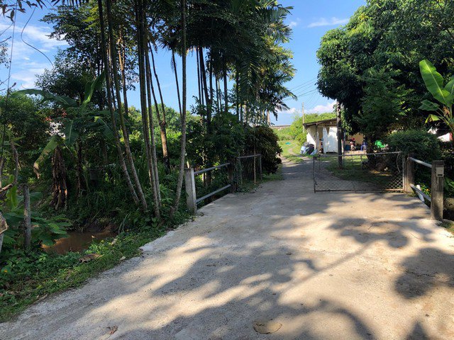 ขายที่ดินแปลงสวย-3-ไร่-หลังแมคโครแม่ริม-เชียงใหม่่-หน้ากว้าง-46-เมตรติดถนน