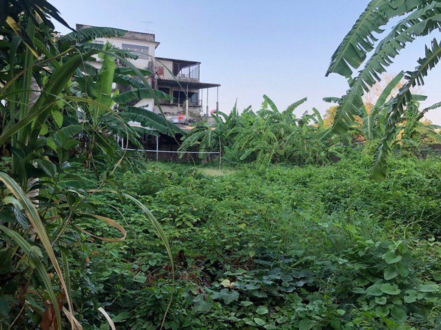 ขายที่ดิน-ซอยเพชรเกษม-42-ขนาด199-ตรว-ม-สยาม-ใก้ลรถไฟฟ้าบางหว้า