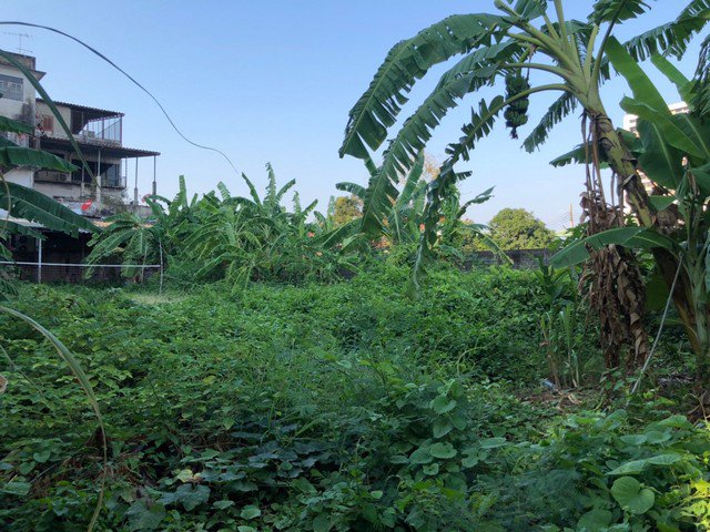 ขายที่ดิน-ซอยเพชรเกษม-42-ขนาด199-ตรว-ม-สยาม-ใก้ลรถไฟฟ้าบางหว้า