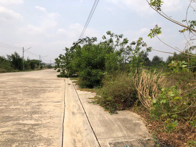 ขายที่ดินสวย-ถมเเล้วทั้งหมด-4ไร่83ตรวหรือ-เเบ่งเเปลงขาย-ติดถนนสระบุรี-หล่มสัก