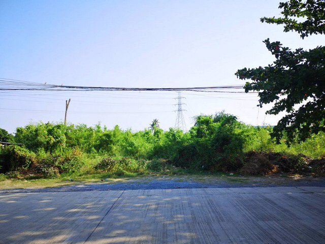 ขายที่ดิน-8ไร่-7ตารางวา-บางระมาด-ใกล้ตลาดน้ำคลองลัดมะยม-ที่ดินสวย