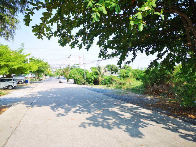 ขายที่ดิน-8ไร่-7ตารางวา-บางระมาด-ใกล้ตลาดน้ำคลองลัดมะยม-ที่ดินสวย