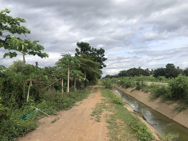 ขายที่ดินสระกระเทียม-เมืองนครปฐม-เนื้อที่-5-0-17-ไร่-ราคาถูกสุดๆ-ใกล้โรงเรียนสระกระเทียม