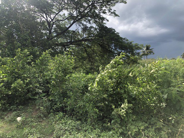 ขายที่ดินสระกระเทียม-เมืองนครปฐม-เนื้อที่-5-0-17-ไร่-ราคาถูกสุดๆ-ใกล้โรงเรียนสระกระเทียม