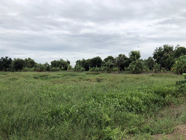 ขายที่ดิน-ซ-นครคลองเนื่องเขต-ถ-สุวินทวงศ์-พื้นที่-10-ไร่-ด้านหน้าติดถนน-หลังติดคลอง