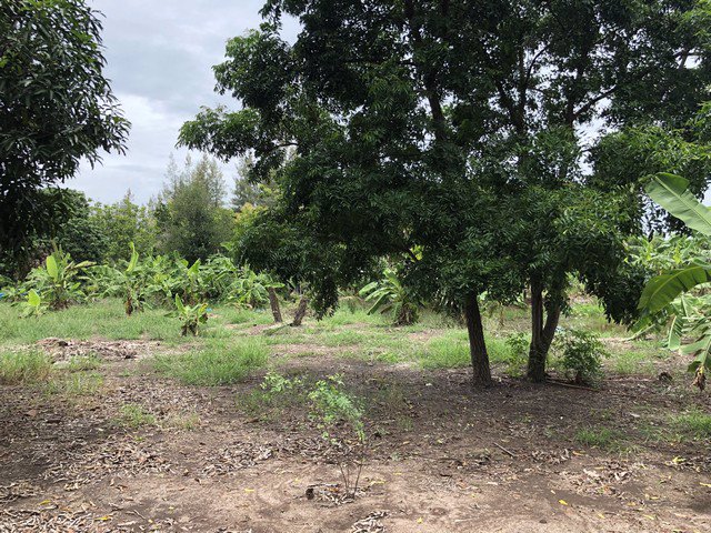 ขายที่ดิน-ซ-นครคลองเนื่องเขต-ถ-สุวินทวงศ์-พื้นที่-10-ไร่-ด้านหน้าติดถนน-หลังติดคลอง