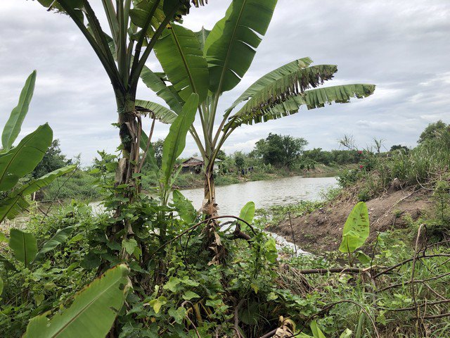 ขายที่ดิน-ซ-นครคลองเนื่องเขต-ถ-สุวินทวงศ์-พื้นที่-10-ไร่-ด้านหน้าติดถนน-หลังติดคลอง