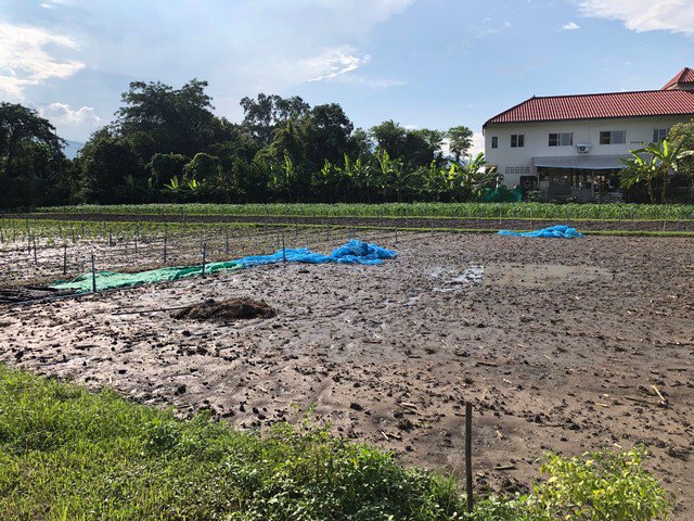 ขายที่ดินแปลงสวย-3-ไร่-หลังแมคโครแม่ริม-เชียงใหม่่-หน้ากว้าง-46-เมตรติดถนน