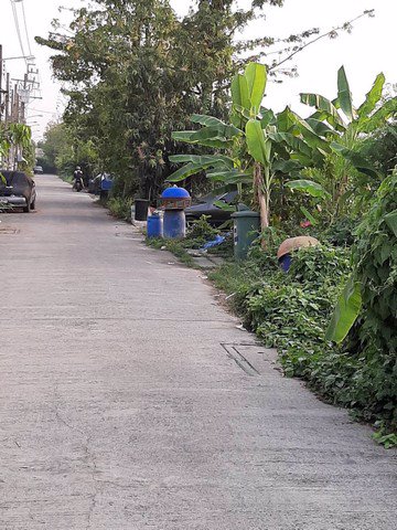 ขายที่ดินเปล่า-3-3-50-ไร่-ที่ดินแปลงใหญ่-ซอยคู้บอน44-รูปแปลงที่ดินสวย