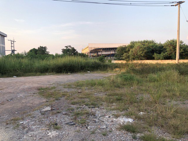 ขายที่ดิน-ใน-นาดี-เมืองสมุทรสาคร-เนื้อที่-739-ตรว-แปลงมุมสวย