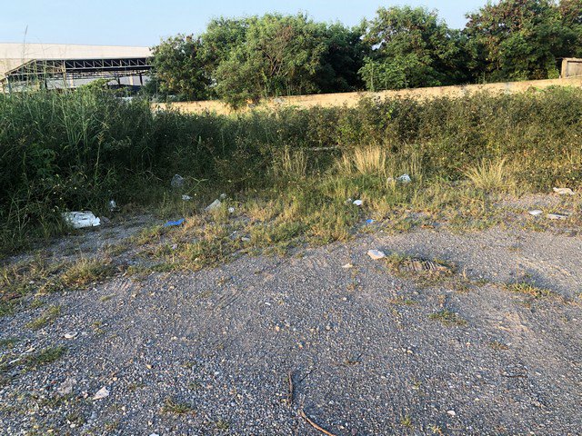 ขายที่ดิน-ใน-นาดี-เมืองสมุทรสาคร-เนื้อที่-739-ตรว-แปลงมุมสวย