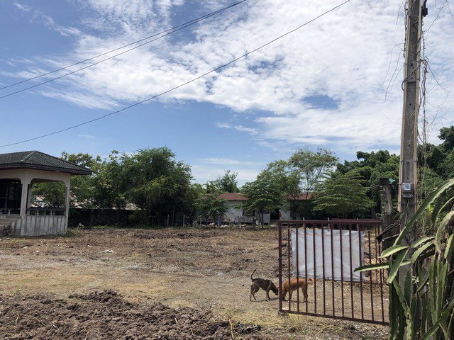 ขาย-ที่ดินวังตะเคียน-เมืองฉะเชิงเทรา-ฉะเชิงเทรา-วีงตะเคียน-เนื้ัอที่-575-ตรว-ทำเลดี