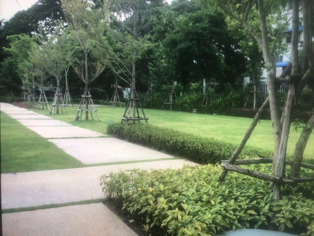 ขาย-ไอ-คอนโด-สุขาภิบาล-2-ชั้น-1-ตึก-a2-เนื้อที่-301-ตรม-วิวสวน