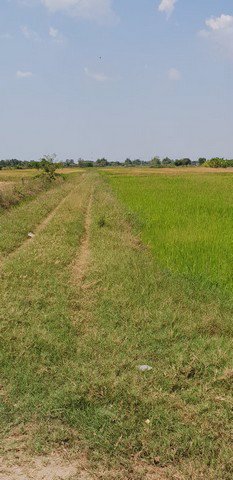 ขาย-ที่ดิน-ชลบุรี-อมตะ-พานทอง-เนื้อที่-11-0-29-ไร่-บ้านศาลา-ชลบุรี