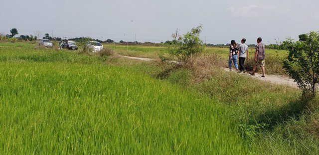 ขาย-ที่ดิน-ชลบุรี-อมตะ-พานทอง-เนื้อที่-11-0-29-ไร่-บ้านศาลา-ชลบุรี