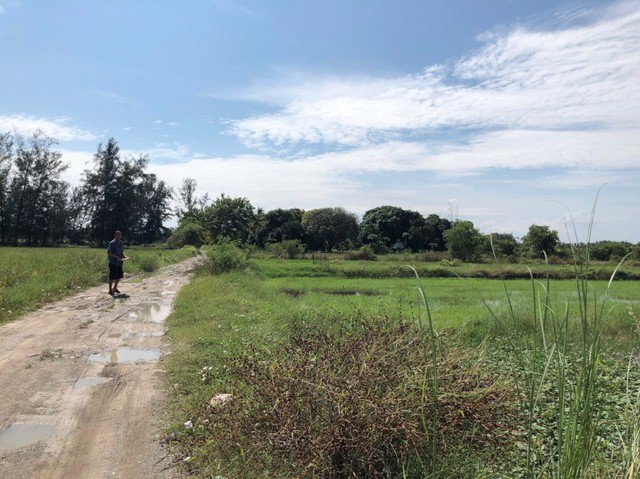 ขาย-ที่ดิน-ชลบุรี-อมตะ-พานทอง-เนื้อที่-11-0-29-ไร่-บ้านศาลา-ชลบุรี