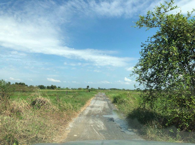 ขาย-ที่ดิน-ชลบุรี-อมตะ-พานทอง-เนื้อที่-11-0-29-ไร่-บ้านศาลา-ชลบุรี