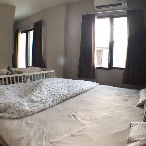 ขาย-บ้านเดี่ยว-หมู่บ้านอารียาโคโม่-บางนา-เนื้อที่-495-ตรว-หลังมุมสุดพิเศษ-ราคาเร้าใจ