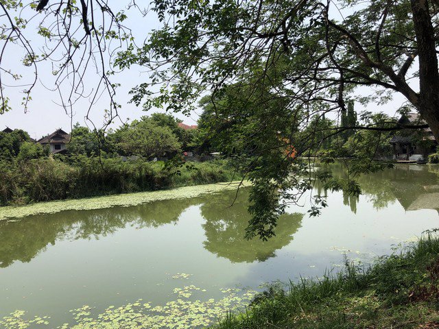 ขาย-ที่ดิน-หมู่บ้านเชียงใหม่เลคแลนด์-ที่ดินใจกลางเมือง-ราคาถูก