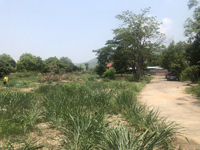 ขาย-ที่ดิน-หมู่บ้านเชียงใหม่เลคแลนด์-ที่ดินใจกลางเมือง-ราคาถูก