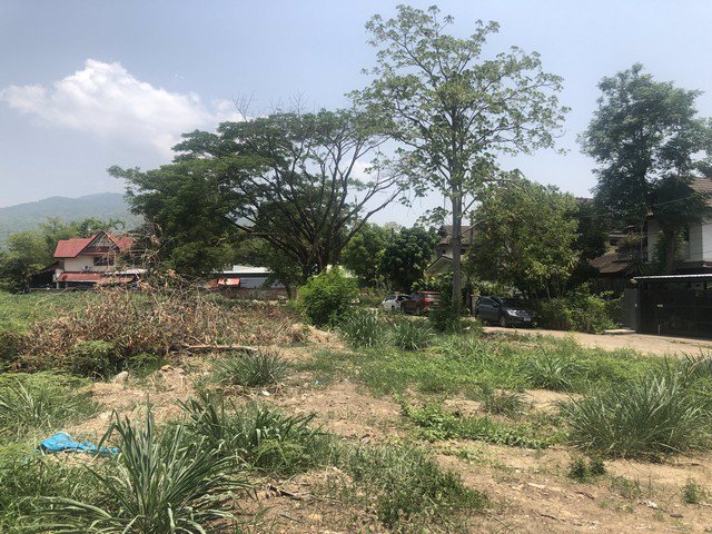 ขาย-ที่ดิน-หมู่บ้านเชียงใหม่เลคแลนด์-ที่ดินใจกลางเมือง-ราคาถูก