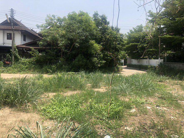 ขาย-ที่ดิน-หมู่บ้านเชียงใหม่เลคแลนด์-ที่ดินใจกลางเมือง-ราคาถูก