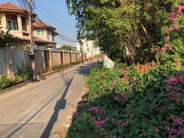 ขาย-ที่ดิน-ลาดพร้าว-71-ซอยนาคนิวาส-41-เนื้อที่-219-ตรว