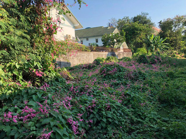 ขาย-ที่ดิน-ลาดพร้าว-71-ซอยนาคนิวาส-41-เนื้อที่-219-ตรว