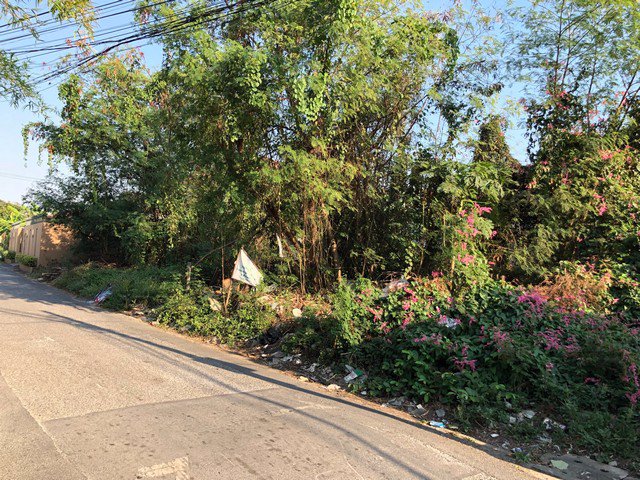 ขาย-ที่ดิน-ลาดพร้าว-71-ซอยนาคนิวาส-41-เนื้อที่-219-ตรว