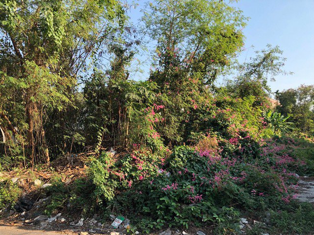 ขาย-ที่ดิน-ลาดพร้าว-71-ซอยนาคนิวาส-41-เนื้อที่-219-ตรว