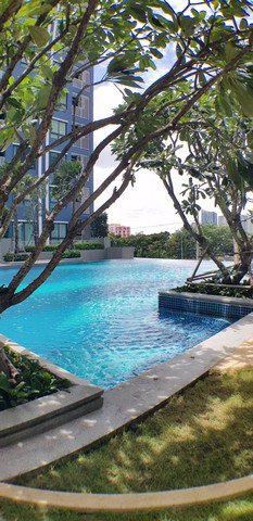 ขาย-เดอะนิช-โมโน-รัชวิภา-ชั้น4-บรรยากาศรีสอร์ท-ริมสระ