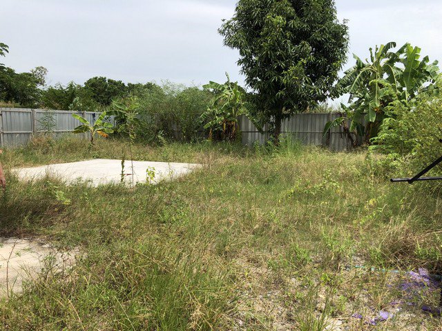 ขาย-ที่ดิน-ซอยวัดลาดปลาดุก-พร้อมสิ่งปลูกสร้าง-เนื้อที่-367-ตรว-หลังติดคลอง-ที่ดินถมแล้ว