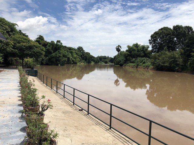 ขาย-ที่ดิน-ริมแม่น้ำท่าจีน-เดิมบางนางบวช-5ไร่1งาน75-ตรวที่ถมแล้วสวยมาก-พร้อมเขื่อนและพืชผล