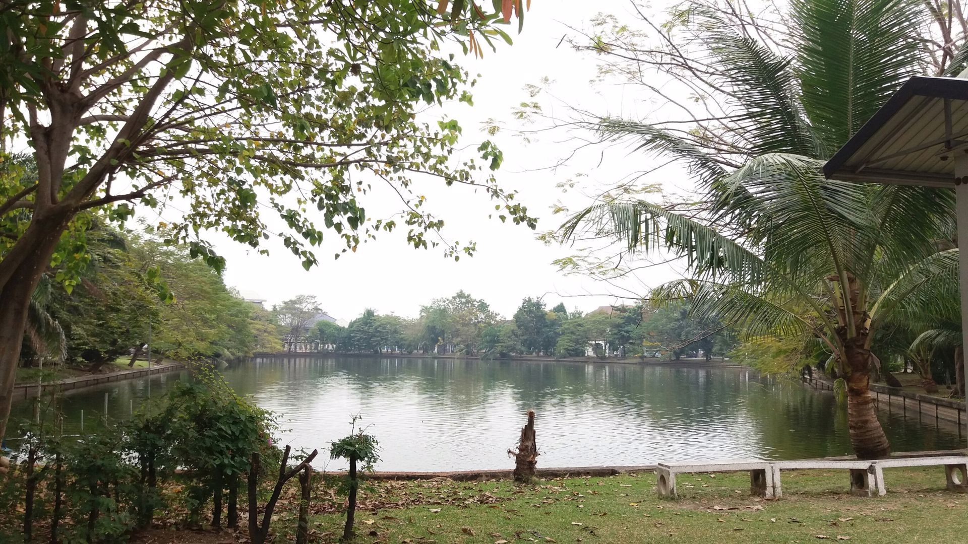 บ้าน55วาสัมมากรราม112สะพานสูง