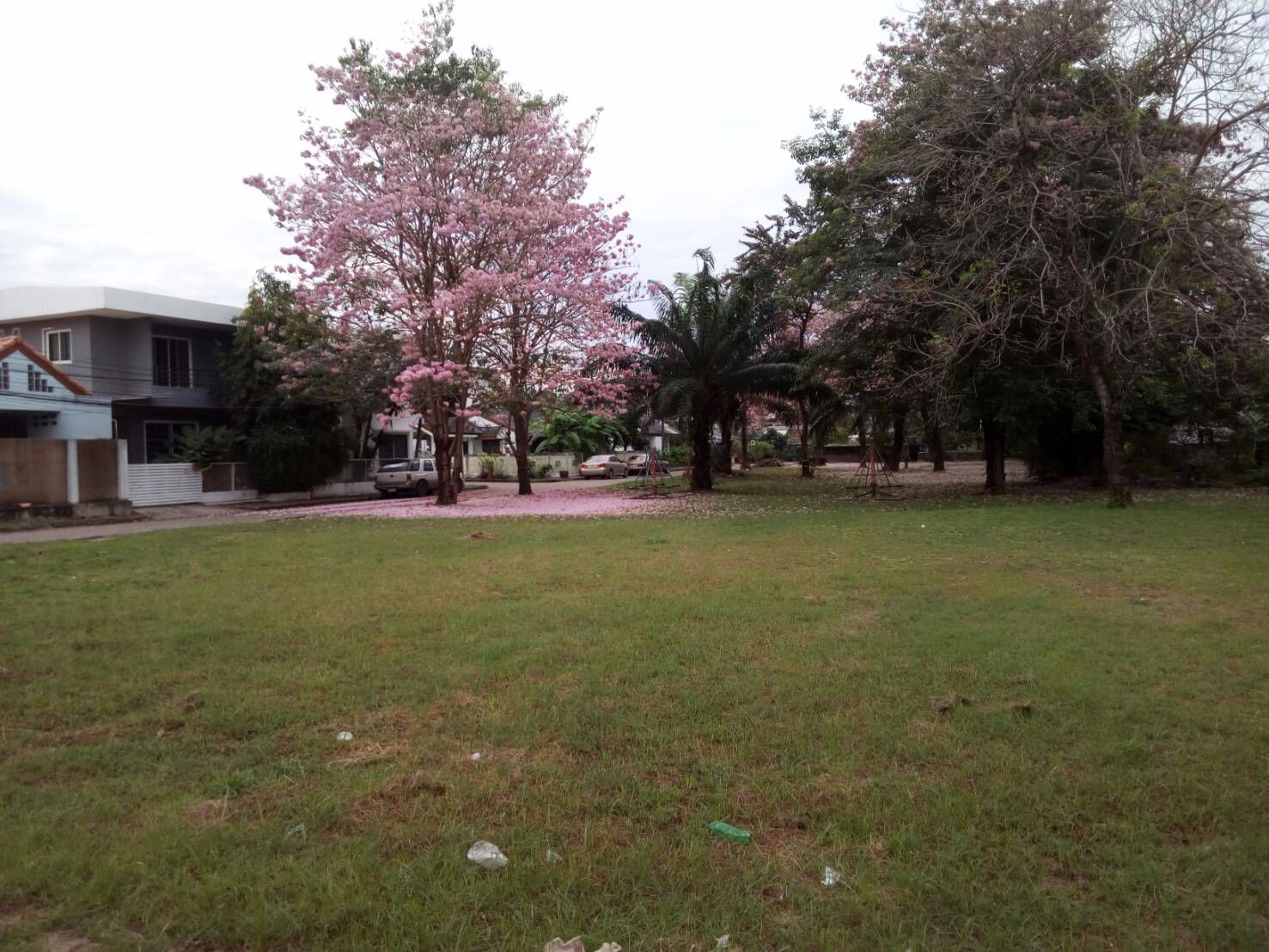 บ้าน55วาสัมมากรราม112สะพานสูง