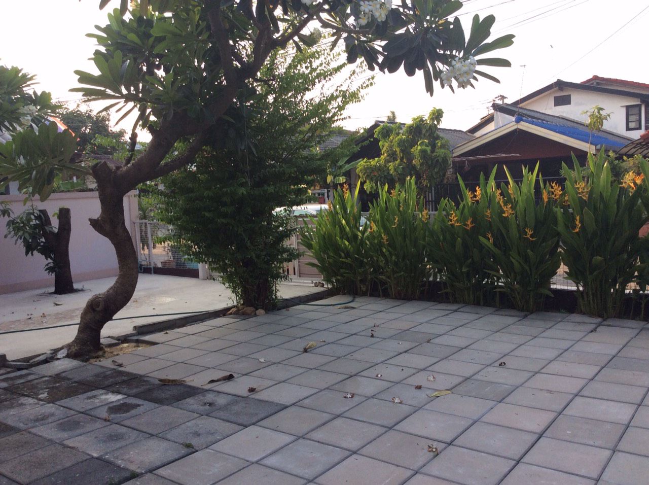 บ้าน55วาสัมมากรราม112สะพานสูง