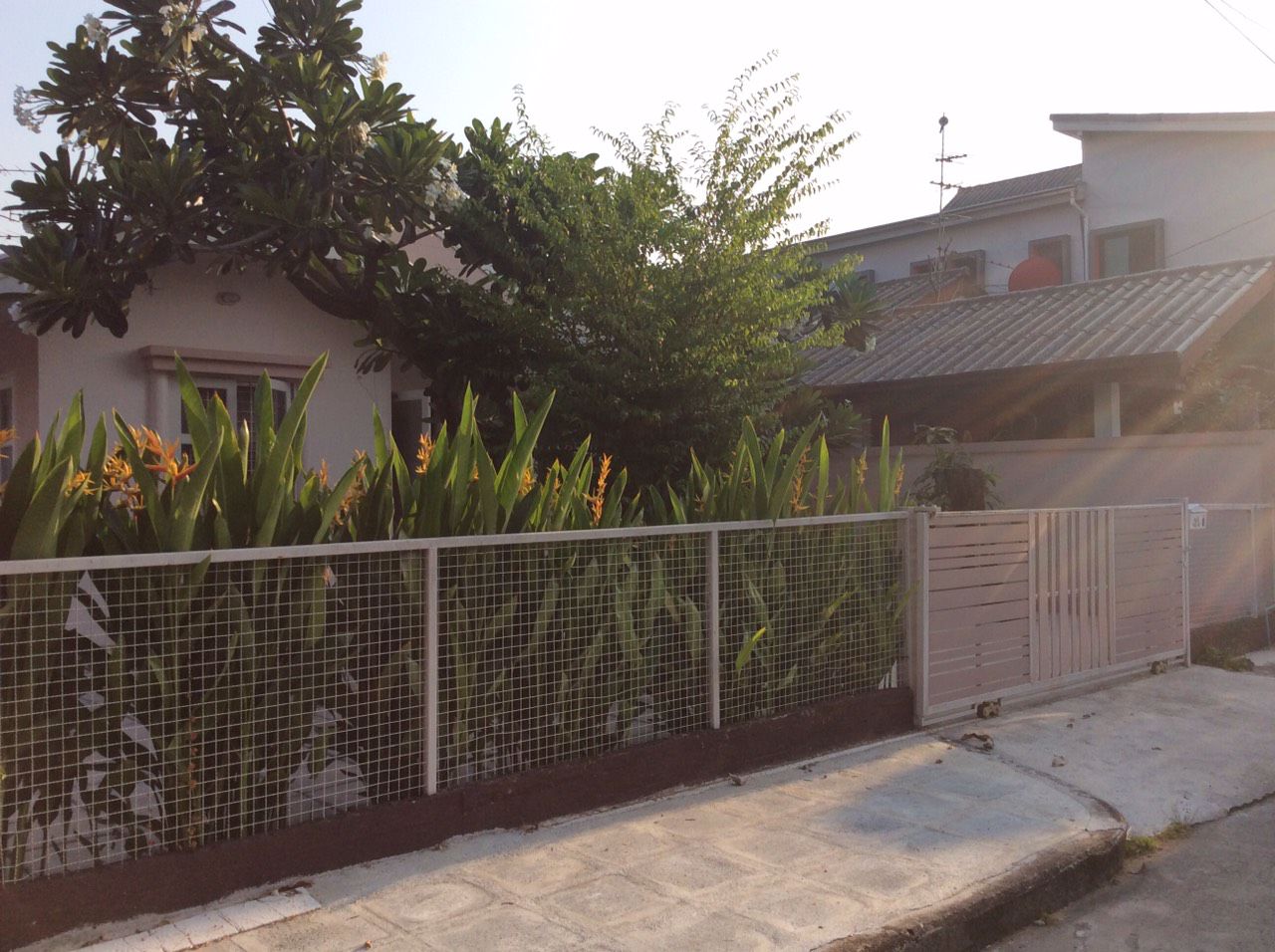 บ้าน55วาสัมมากรราม112สะพานสูง