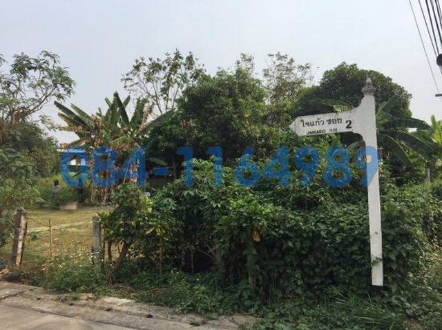 ขายที่ดิน-หนองหอย-เชียงใหม่-832-ตารางวา-33000-บาท-ตรว-ใกล้ตลาดหนองหอย-เชียงใหม่