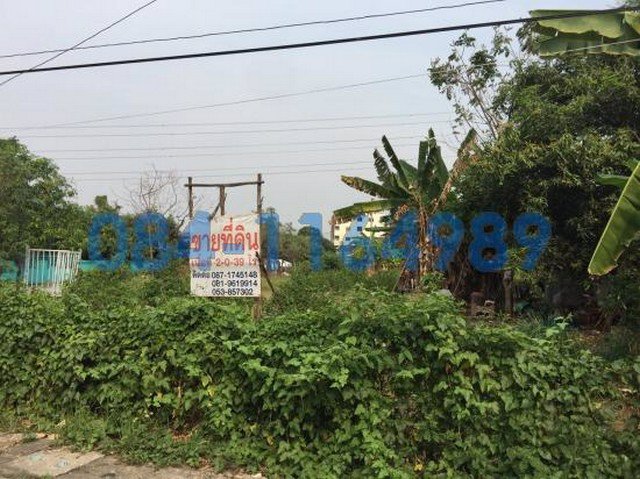 ขายที่ดิน-หนองหอย-เชียงใหม่-832-ตารางวา-33000-บาท-ตรว-ใกล้ตลาดหนองหอย-เชียงใหม่