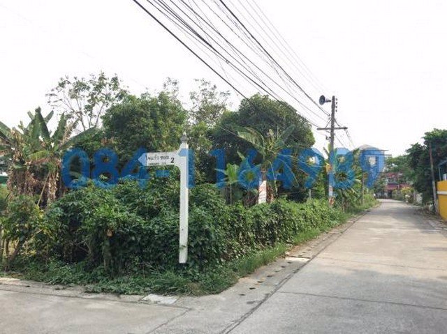 ขายที่ดิน-หนองหอย-เชียงใหม่-832-ตารางวา-33000-บาท-ตรว-ใกล้ตลาดหนองหอย-เชียงใหม่