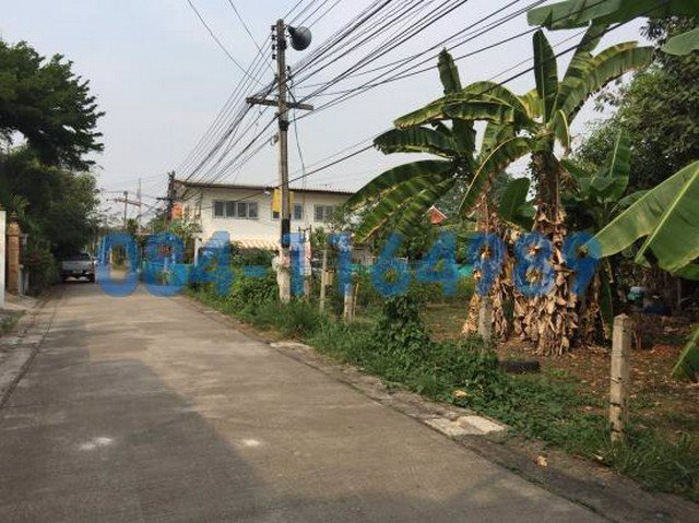 ขายที่ดิน-หนองหอย-เชียงใหม่-832-ตารางวา-33000-บาท-ตรว-ใกล้ตลาดหนองหอย-เชียงใหม่