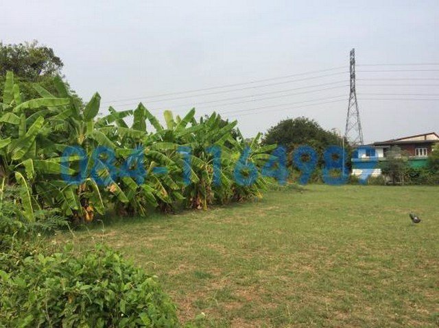 ขายที่ดิน-หนองหอย-เชียงใหม่-832-ตารางวา-33000-บาท-ตรว-ใกล้ตลาดหนองหอย-เชียงใหม่