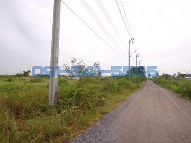 ขายที่ดิน-ซอยแก้วแจ่ม-ท่าข้าม-พระราม2-4-1-43-ไร่-ไร่ละ-53-ล้านบาท-ถมที่ดินเรียบร้อย-พื้นที่สีเขียว