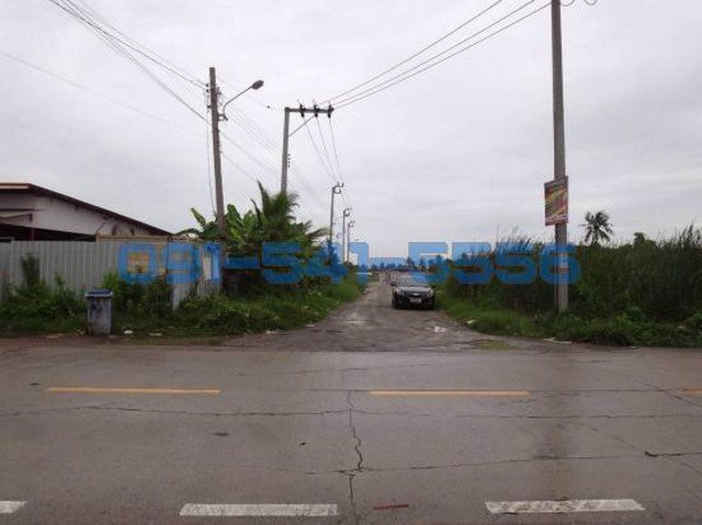 ขายที่ดิน-ซอยแก้วแจ่ม-ท่าข้าม-พระราม2-4-1-43-ไร่-ไร่ละ-53-ล้านบาท-ถมที่ดินเรียบร้อย-พื้นที่สีเขียว