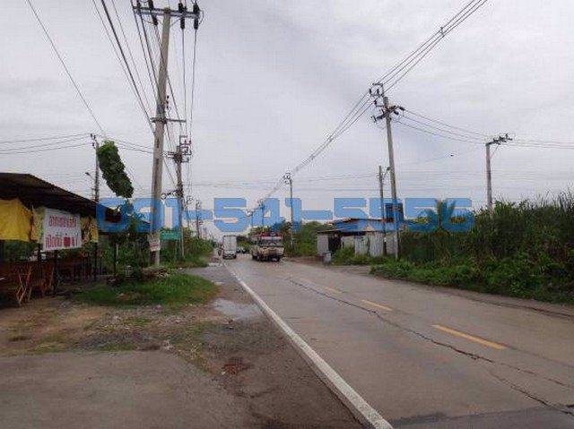 ขายที่ดิน-ซอยแก้วแจ่ม-ท่าข้าม-พระราม2-4-1-43-ไร่-ไร่ละ-53-ล้านบาท-ถมที่ดินเรียบร้อย-พื้นที่สีเขียว