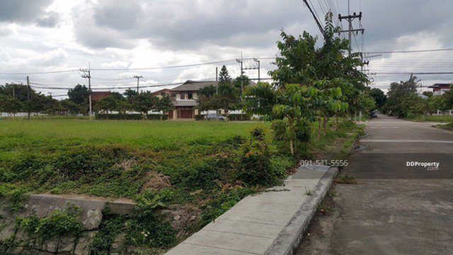 ขาย-ที่ดิน-หมู่บ้านเวิลด์คลับแลนด์-เชียงใหม่-แปลงหัวมุม-3138-ตรว-33000-บาท-ตรว-ทำเลดีเป็นแปลงหัวมุม