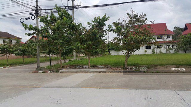 ขาย-ที่ดิน-หมู่บ้านเวิลด์คลับแลนด์-เชียงใหม่-แปลงหัวมุม-3138-ตรว-33000-บาท-ตรว-ทำเลดีเป็นแปลงหัวมุม
