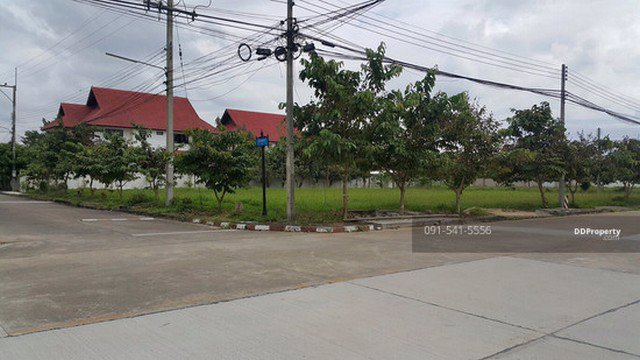 ขาย-ที่ดิน-หมู่บ้านเวิลด์คลับแลนด์-เชียงใหม่-แปลงหัวมุม-3138-ตรว-33000-บาท-ตรว-ทำเลดีเป็นแปลงหัวมุม