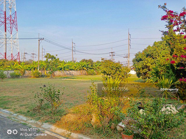 ขายที่ดินพร้อม-โรงงาน-อาคารสำนักงาน-ใกล้เซ็นทรัล-ศาลายา-65-ล้านบาท-ที่ดินรวม-3-3-78-ไร่-โซนสีชมพู