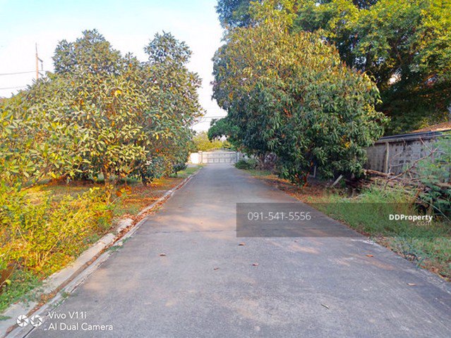 ขายที่ดินพร้อม-โรงงาน-อาคารสำนักงาน-ใกล้เซ็นทรัล-ศาลายา-65-ล้านบาท-ที่ดินรวม-3-3-78-ไร่-โซนสีชมพู